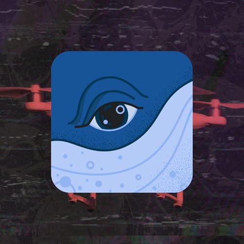 Por dentro do ba&uacute; copertina