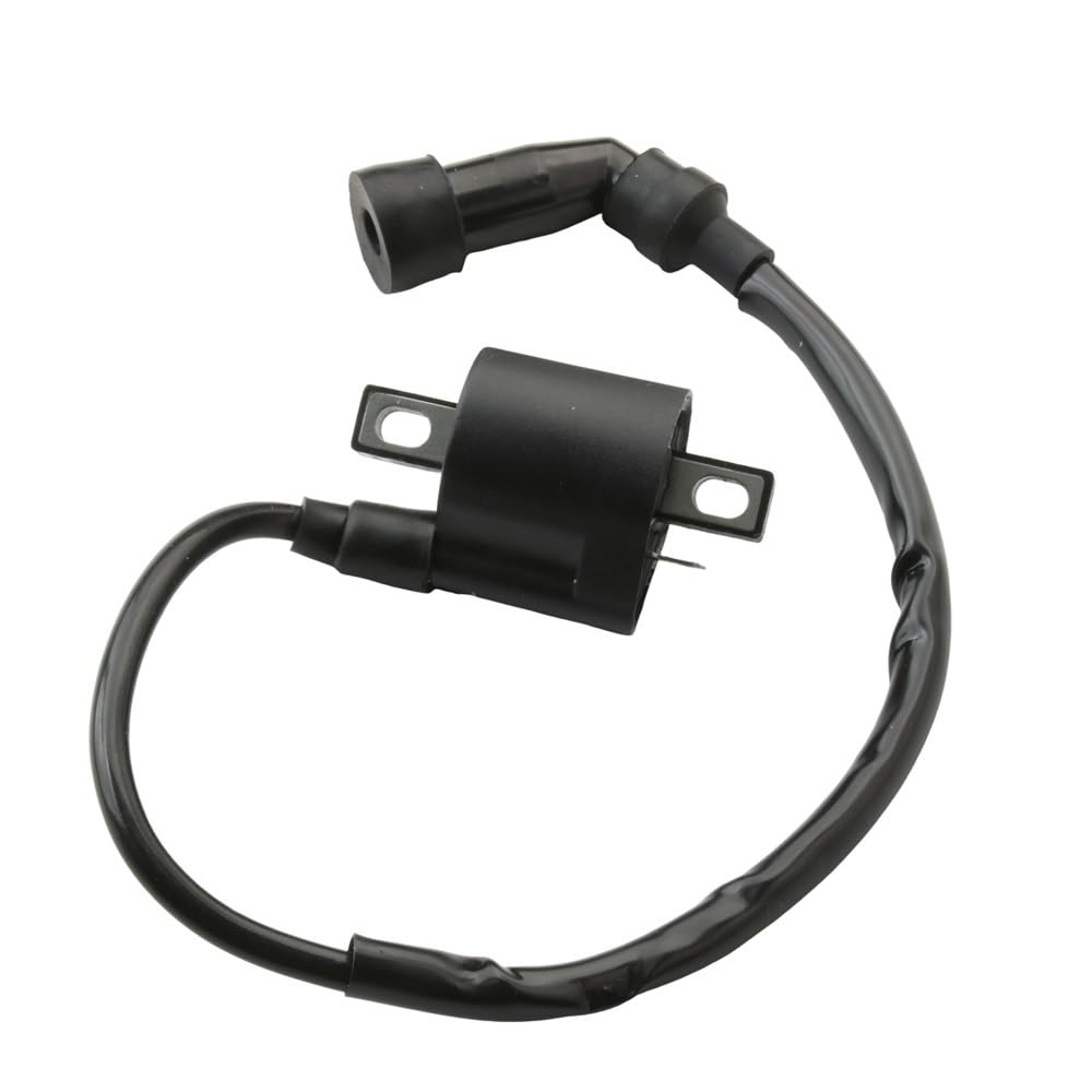 Bobina de encendido para Yamaha YBR125 y XT125 125cc 3D9-H2310-00