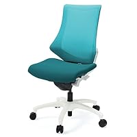 f(エフチェア) KF-370JAHT1T1T2 イトーキ オフィスチェア Amazon | イトーキ デスクチェア オフィスチェア エフ ハイバック KF
