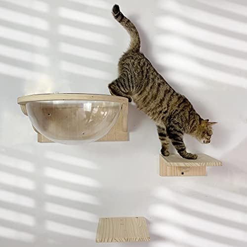 Transparentes Katzenbett Fensterhängematte Mit Saugnäpfen - Weltraumkapsel Design Für Katzen