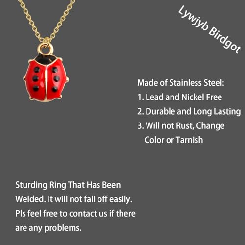 Lywjyb Birdgot Ladybug Necklace Cute Ladybug Gift Ladybird Pendant Good Luck Ladybug Gift for Women3