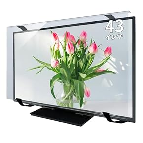 Amazon.co.jp: 液晶テレビ保護用品 - アクセサリ: 家電＆カメラ