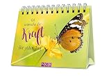 Ich wünsche dir Kraft für jeden Tag: Das Geschenkbuch für einen ganz besonderen Menschen