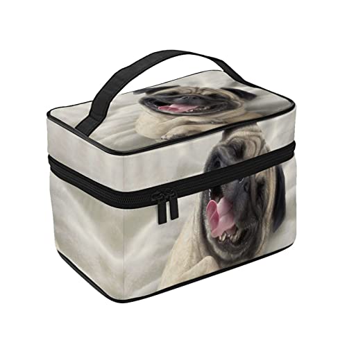 σ|[` CN|[` 킢  pO RX[ ֌g σobO ϔ vp σP[X ^ CN{bNX e ϕi[obO ʗp s op y  ϓ Jo[t̃t@Xi[