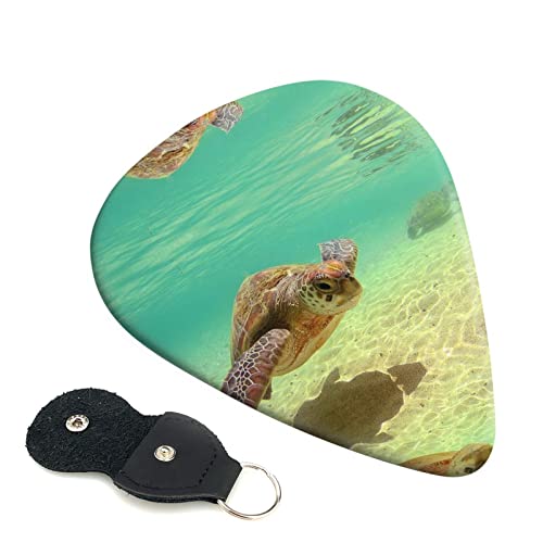 Lord Howe Island Sea Turtle Lot de 6 médiators pour guitare acoustique, guitare électrique, basse, ukulélé – fin, moyen… - Les Beatles, Paul McCartney, John Lennon, RIngo Starr, George Harrison Lord Howe Island Sea Turtle Lot de 6 médiators pour guitare acoustique, guitare électrique, basse, ukulélé – fin, moyen…