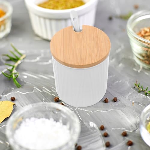 Tarro de cerámica para condimentos con diseño elegante de 300ml para encimera 5