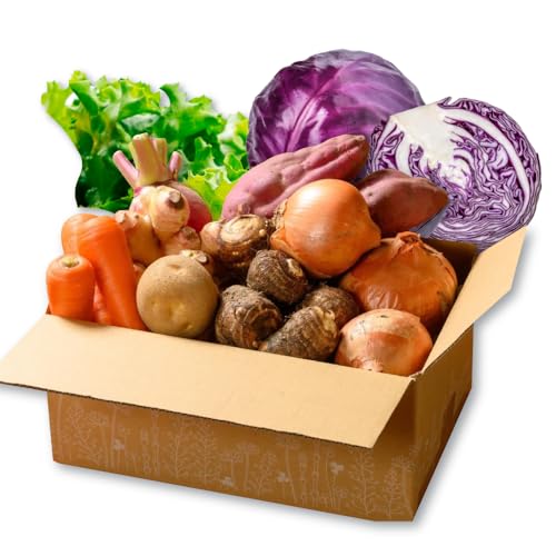 [全3回定期便]シェフの目線 根菜×葉野菜 6から7種 単身・二人暮らし用セット