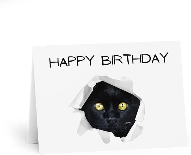 Ruxadcip - black cat out of card Birthday greeting card
