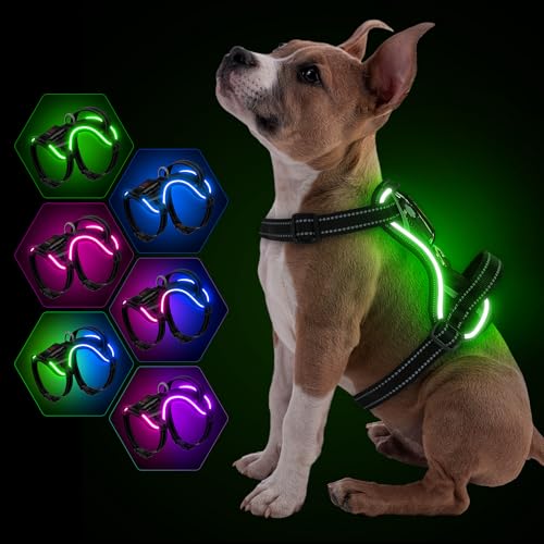 YFbrite Leuchtendes Hundegeschirr mit Batterieanzeige, Typ-C wiederaufladbar, RGB-LED-Geschirre (Blau, Grün, Pink), verstellbar für alle Hunde, Sicherheit beim nächtlichen Spazierengehen (Schwarz, M)