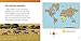Raintree Animals of the African Savanna (Wild Biomes).