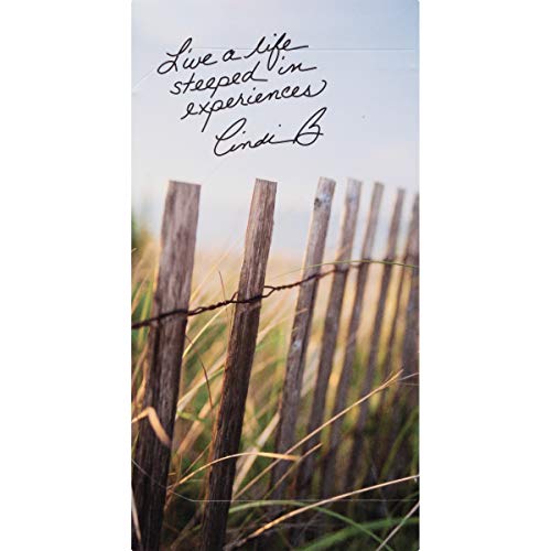 Steep By Bigelow Organic Rooibos Hibiscus Herbal Tea, Caffeine Free, 20 Count (Pack Of 6), 120 Total Tea Bags #TOP3