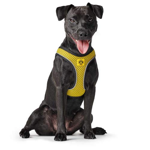 HUNTER HILO COMFORT BVB - Imbracatura per cani con...