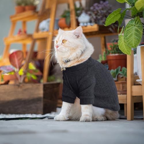 Vêtement d'hiver à col roulé chaud et extensible pour chat Sphynx - 5