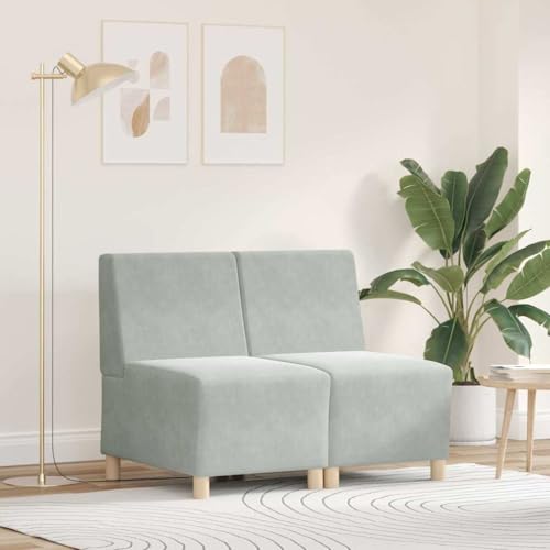 sephironlbb Sofá modular sin brazos, 2 unidades, color gris claro, terciopelo, 55 x 74 x 82 cm, tapizado de dos plazas, con función de sueño y función de relax