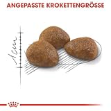 ROYAL CANIN Outdoor 7+ Trockennahrung für Katzen – 0.4 kg