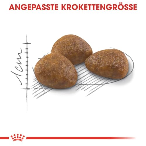 ROYAL CANIN Outdoor 7+ Trockennahrung für Katzen – 0.4 kg