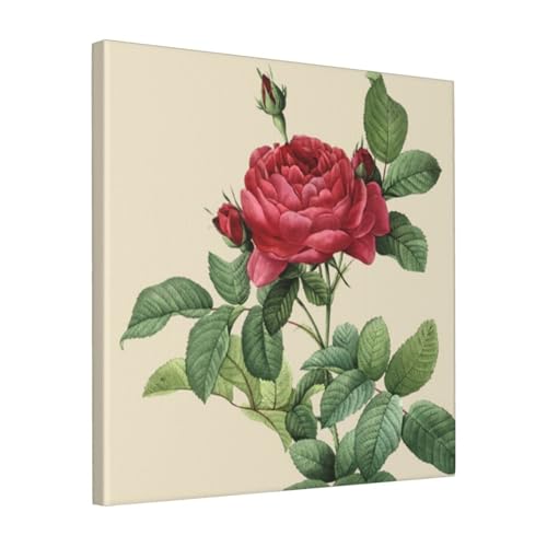 絵画 フレーム装飾画 ヒエールショセフルトゥーテ Rosa Gallica Pontiana キャンバスアート アートパネル 壁画 壁掛け 絵 モダンアート 版画 壁飾り 世界の名画 ポスター 40x40cm