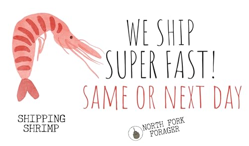 Wales - Baby Boy Girl Clothes Infant Bodysuit Funny Cute Newborn4