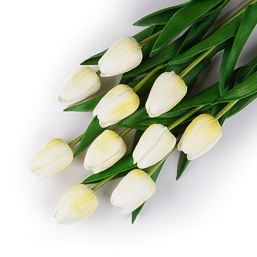 VaryFloral  CeA 10{ tFCNt[ CG[ F t[AWg `[bv t[  u[P A[eBtBVt[ A[gt[ ͂Ȃ v[g Be p  }`bN 