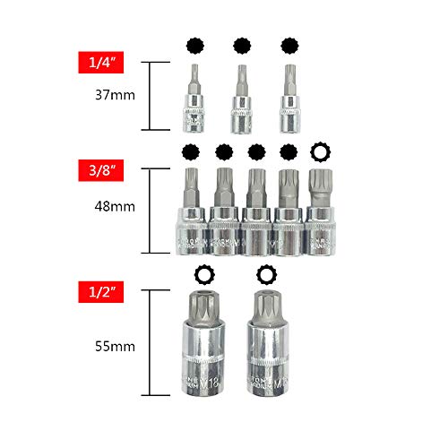 Xzn Triple Square Spline Bit Socket Set 12 Point Tamper Proof 1/2 1/4 And 3/8 Inch Drive,4Mm-18Mm,S2 Steel,10 Pieces #TOP2