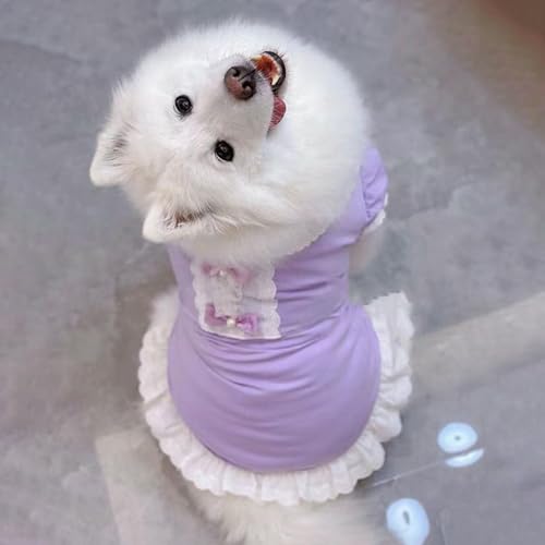 Robe pour chien de grande taille violette en dentelle pour Labrador - 4