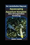 Der vereinfachte Weg zum Aquascaping Aquarium Komplett (eine voll ausgestattete Einrichtung)
