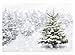 Allenjoy Christmas Backdrop 7x5ft Natural Winter Forest Snowflake Snowfall Background for Photography White Snow Tree Home Party Decoration Photo Studio Props