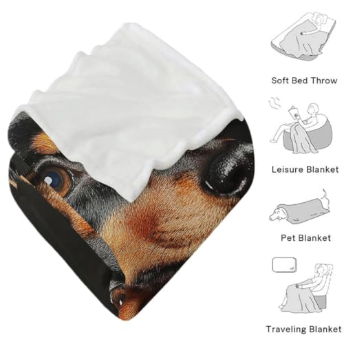 Couverture chaude teckel pour vos soirées cocooning sur le canapé - 6