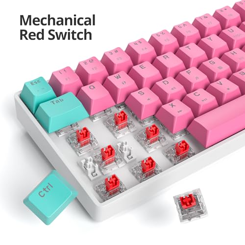 Image of 60 Percent Gaming Keyboard 61 Keys Wired Mechanical Keyboard Ultra Compact Keyboard Red Switch LED Backlit for Windows Laptop Gamer(61 Miami)