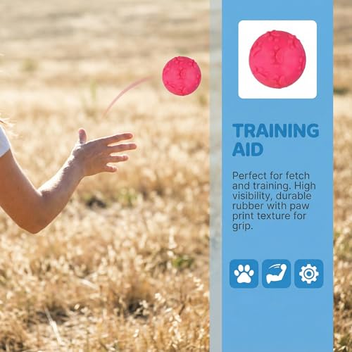 Amexo 4Stück Hundespielzeug Bälle, Hundeball Quietschend Unzerstörbar, Interaktive Hundebälle mit Quietscher, Hund Kauspielzeug Bälle hundeball Schwimmfähig für Welpen Kleine und Mittelgroße Haustiere