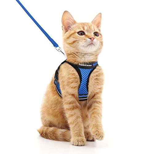Image of rabbitgoo Cat Harness and Leash Set, Step-in Soft Vest, M, Blue | Escape Proof, Lightweight Air Mesh, Easy-on, Adjustable, Hook & Loop with Buckle, Reflective, for Kittens & Small Cats Walks