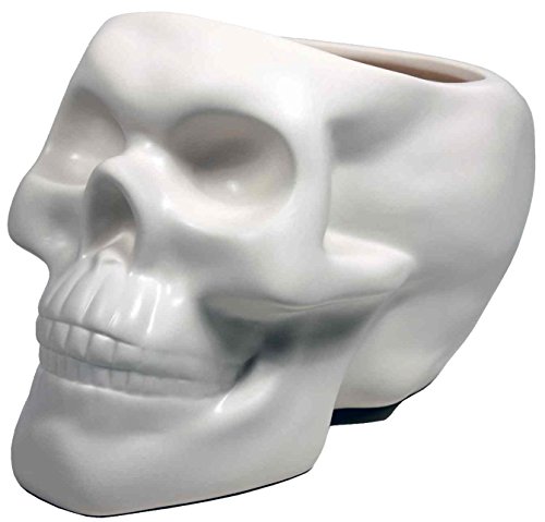 Streamline Imagined Skull Bone Planter #TOP2