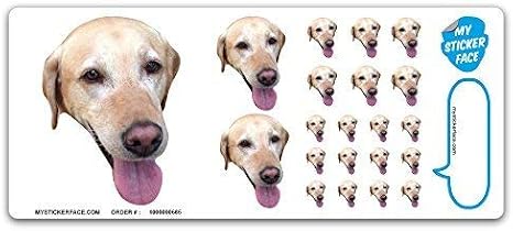 Custom Face Stickers, Photo Decals, Sampler Sheet - Pet Gift