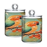 Design portable : le pot de rangement pour perroquet avec couvercle protège contre la poussière et l'humidité, gardant le contenu sec et bien rangé, et le couvercle transparent permet de voir et de localiser facilement les articles