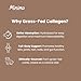 Minimo Nutrition Chocolate Grass-Fed Collagen Peptides for Hair, Skin, Nails, and Joints, Non-GMO and Gluten Free, 13.3 oz.