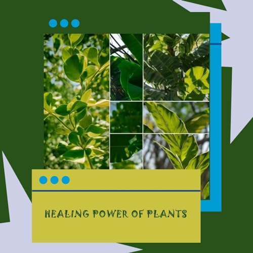 Page de couverture de Healing Power of Plants