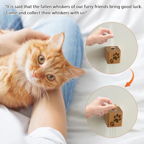Imán decorativo para refrigerador con diseño de vaso para bigotes de gato miniatura 4