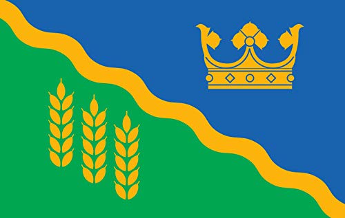 Põltsamaa valla lipp drapeau grand format aux finitions premium - 2