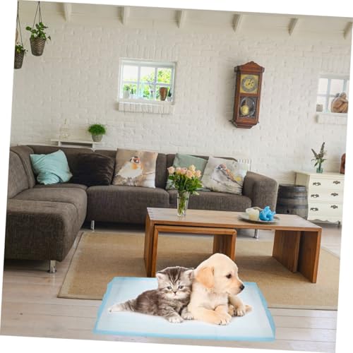 Coussinets pour chiot pipi Homoyoyo : tapis éducation maison - 5