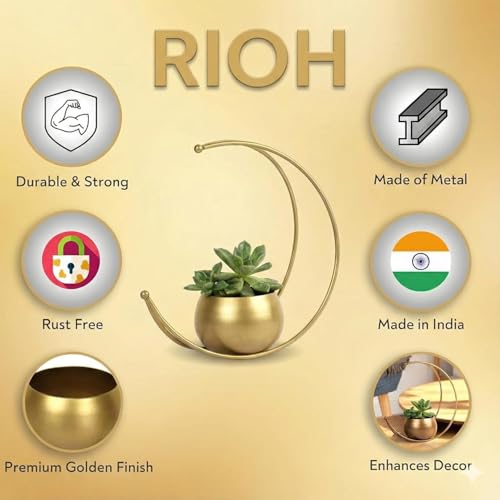 Image of Premium Moon Shape Metal Plant Stand with Golden Pot | Modern Crescent Iron Planter for Indoor Plants | Decorative Tabletop Flower Pot for Living Room, Balcony & Home Decor (Moon Flower Pot)