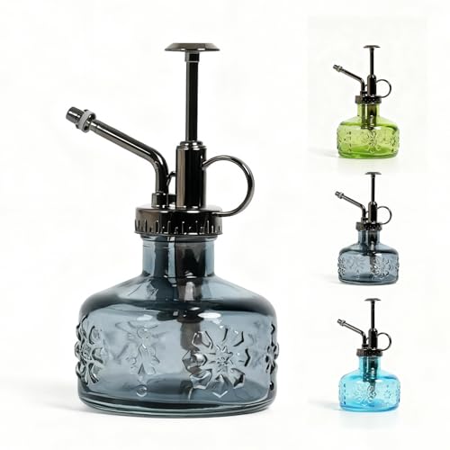 Bamworld Regadera Plantas de Vidrio Transparente, Gris regadera pequeña con Pico Largo y Fino, diseño Decorativo Ideal para suculentas, bonsáis y macetas de Interior