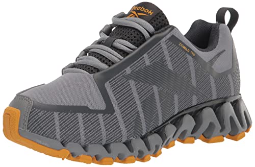 Reebok Men's ZigWild TR 6 Trail Running Shoe, Cold Grey/Pure Grey/Bright Ochre, 10