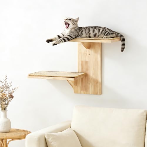 Pared de escalada para gatos, muebles de pared con 2 plataformas, 42 cm, montado en la pared con alfombrilla de sisal, estantes de pared para escalar, jugar, rascar, color marrón