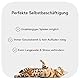 Fellefant Filzspielzeug für Katzen – Handgefertigte Filzmäuse „Finn & Lilli“ im 2er Set – 100% natürliche Wolle – Robust & langlebig – Ideal für Jagdspiel & Beschäftigung – Katzenspielzeug