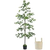 Caxchiling Artificial Black Olive Tree 6FT, Fake Potted Tree for Indoor Outdoor, Lifelike Faux Floor Plants with Moss Topper and Cotton Basket, Home Office Living Room Bedroom Doorway Hallway Decor