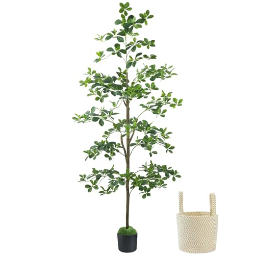 Caxchiling Artificial Black Olive Tree 6FT Fake Potted Tree for Indoor Outdoor Lifelike Faux Floor Plants with Moss Topper and Cotton Basket Home Office Living Room Bedroom Doorway Hallway Decor