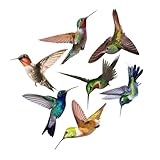 BIUDECO 7個 防撞デザイン蜂鳥ウォールステッカー 窓や壁に貼れる衝突防止デカール 室内装飾用ガラス対応粘着なし簡単貼付 剥がし可能