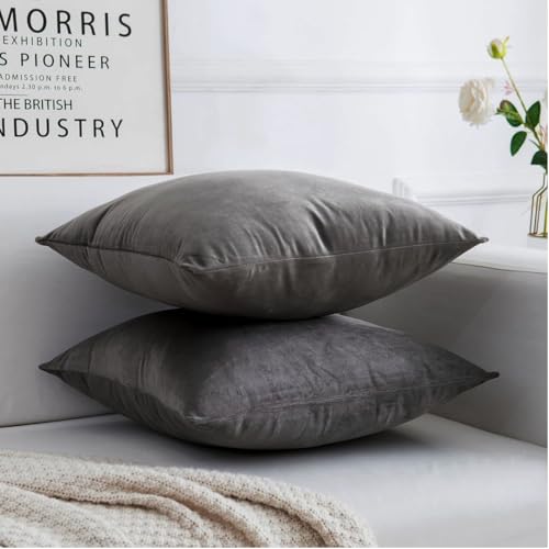 Image of Amazon Brand - Umi Velvet Decorative Cushion Cover 24x24 Inch - Set of 2, Soft Solid Square Throw Pillow Covers for Sofa, Living Room or Home Decor - 60x60 cm in Grey Color