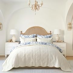 Scallop Ivory Cream (Subtle Yellow Hues)