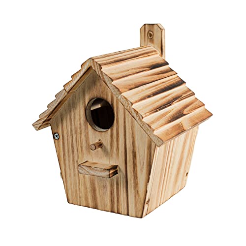 Guide To Find The Best Birdhouses Finch To Buy Online BNB